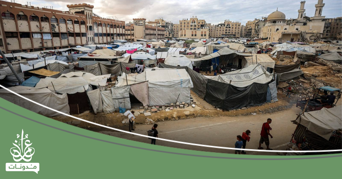 بين النداء والفعل: ما الذي تستطيع الأمة فعله الآن؟
