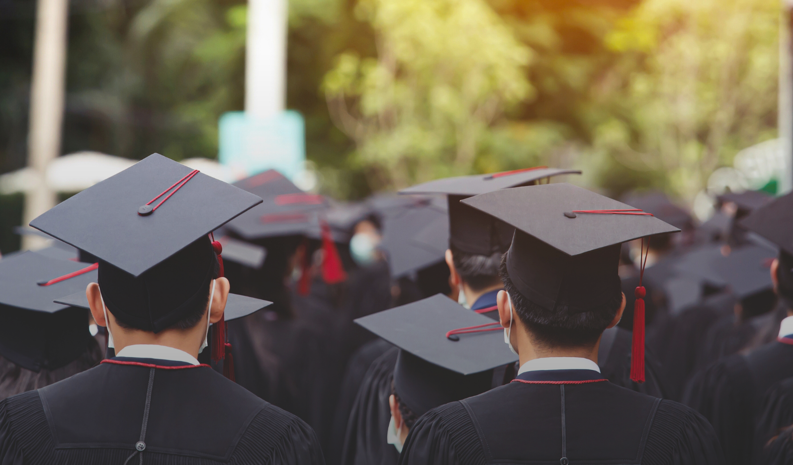 ماذا بعد التخرج الجامعي؟